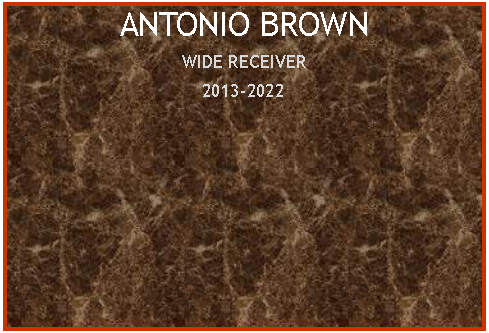 Text Box: ANTONIO BROWNWIDE RECEIVER2013-2022