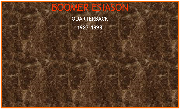 Text Box: BOOMER ESIASONQUARTERBACK1987-1998