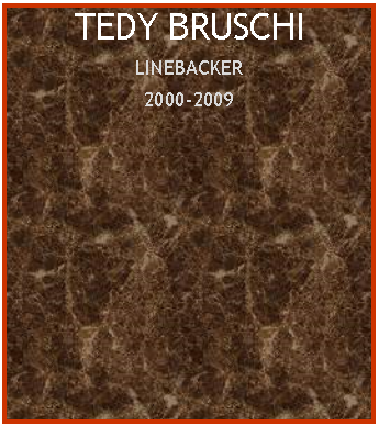 Text Box: TEDY BRUSCHILINEBACKER2000-2009
