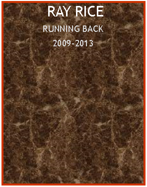 Text Box:  RAY RICERUNNING BACK2009-2013